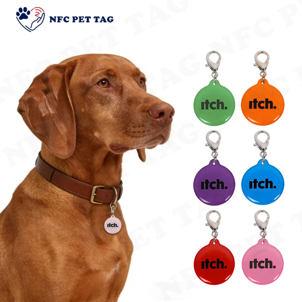 Heavy-Duty Medical Alert Engraved Pet Tag for Secure Pet Tracking Durable RFID Epoxy Pet ID Tag