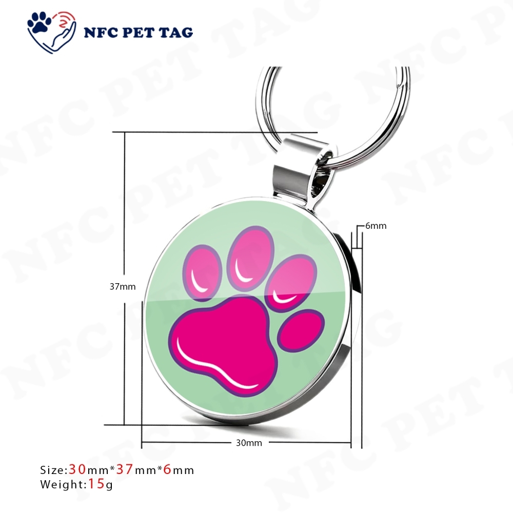 Multi-Functional Metal-Edged PVC Tag: Pet Identification Hotel Room RFID Key Card