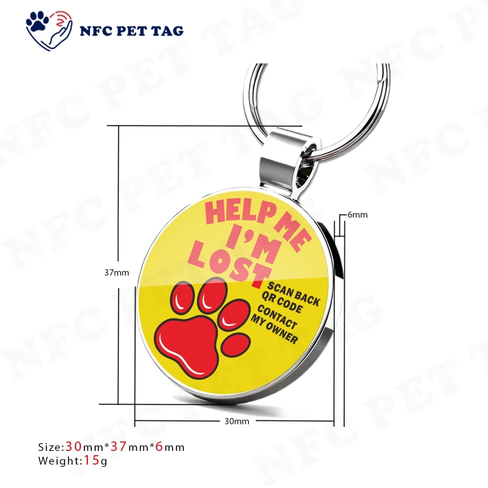 Durable Epoxy-Coated Metal NFC Zinc Alloy Pet Identification Tag