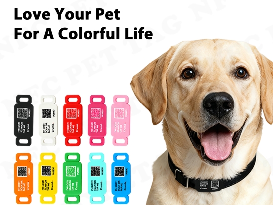 How Does RFID Pet Tag Help to Find Your Lost Dog?