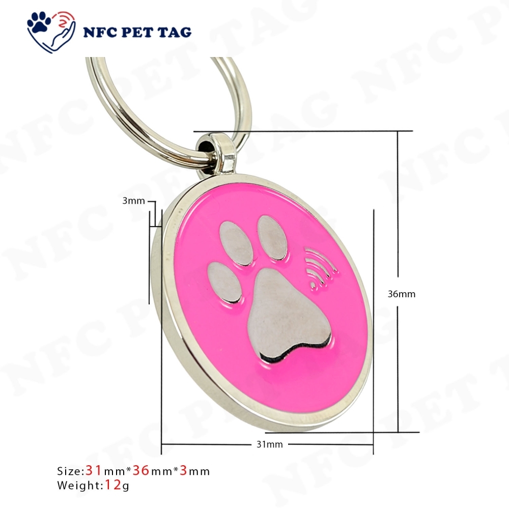 Senior Cat Leash Accessory Tag Garden Play Metal Cat Collar Tag