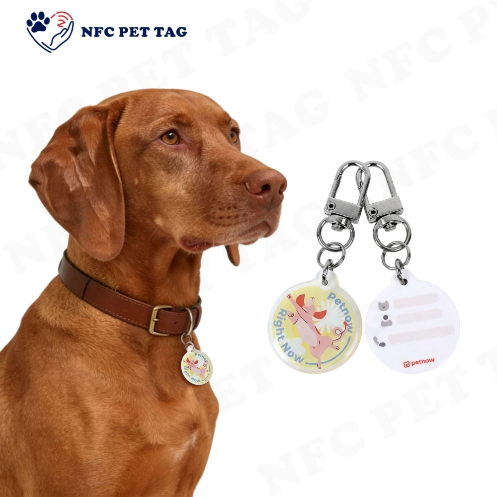Personalized Medical Alert Engraved RFID Pet Tag for Outdoor Pets Durable Epoxy Pet ID Tag