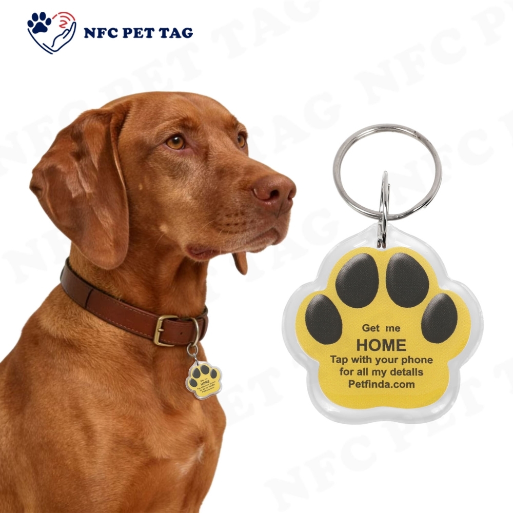 Waterproof Medical Alert Pet Safety Tag with Long-Lasting RFID Durable Epoxy Pet ID Tag