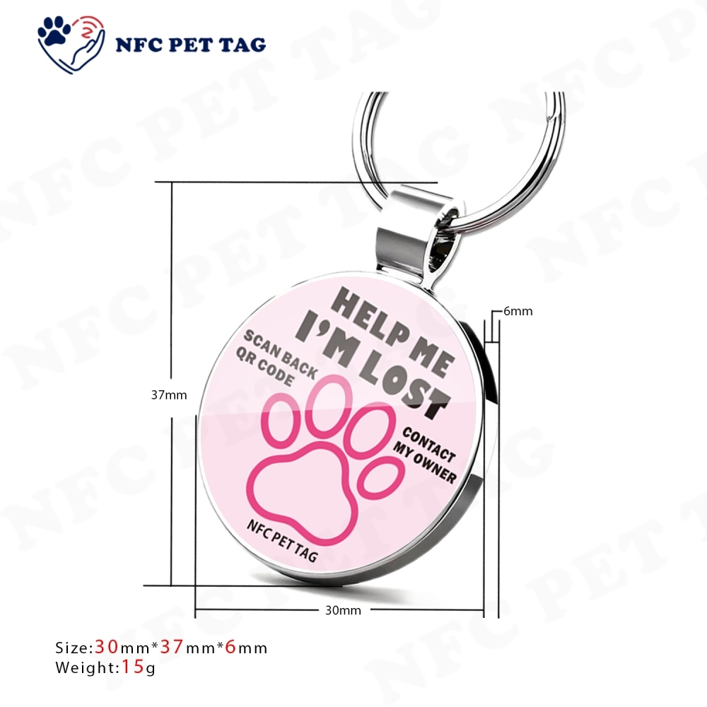 Scratch-Resistant Epoxy-Coated Metal NFC Zinc Alloy Pet Identification Tag