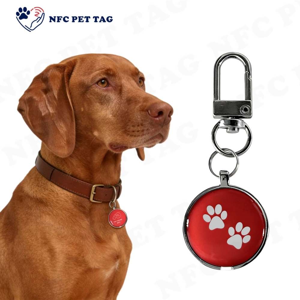 Pet Emergency Medical Alert RFID Safety Tag with Anti-Fade Engraving Durable Epoxy Pet ID Tag