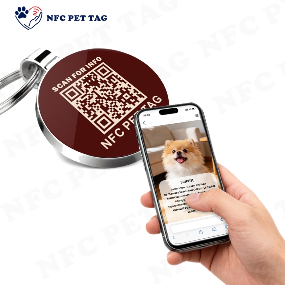 Encrypted NFC Hotel Access Key Card & Durable Metal Pet Collar ID Tag