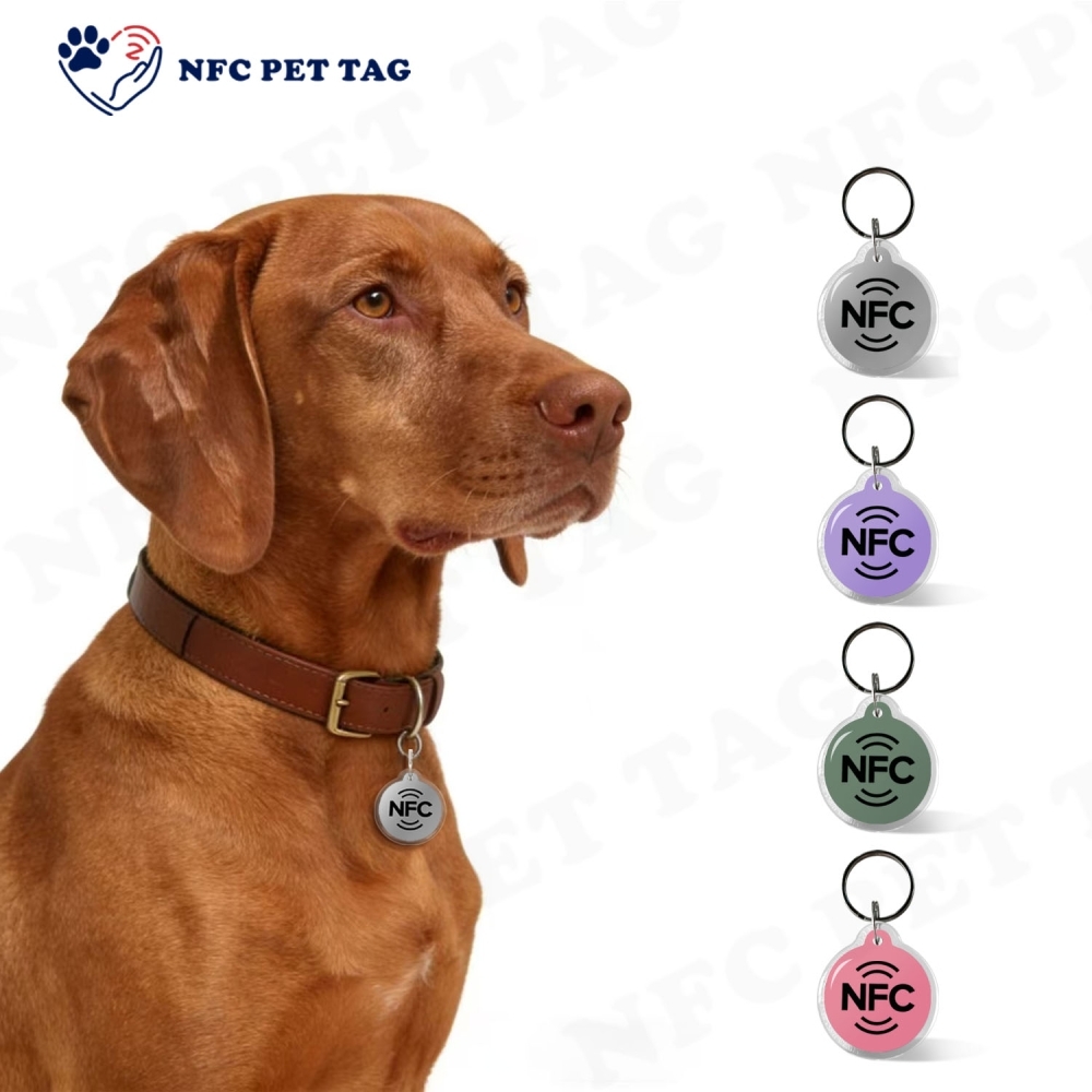 Anti-Loss RFID Pet Safety Tag with Precision Medical Alert Engraving Durable Epoxy Pet ID Tag