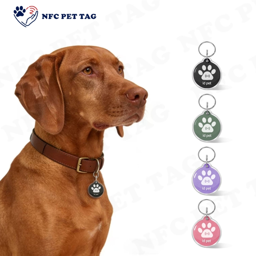 Custom Medical Alert Engraved Pet Safety Tag Durable RFID Epoxy Pet ID Tag