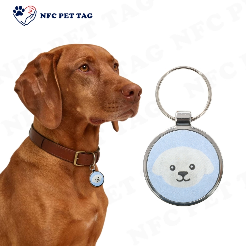 High-Definition Medical Alert Engraved Pet Tag with RFID Chip Durable Epoxy Pet ID Tag