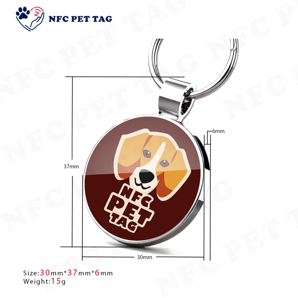 Encrypted NFC Hotel Access Key Card & Durable Metal Pet Collar ID Tag