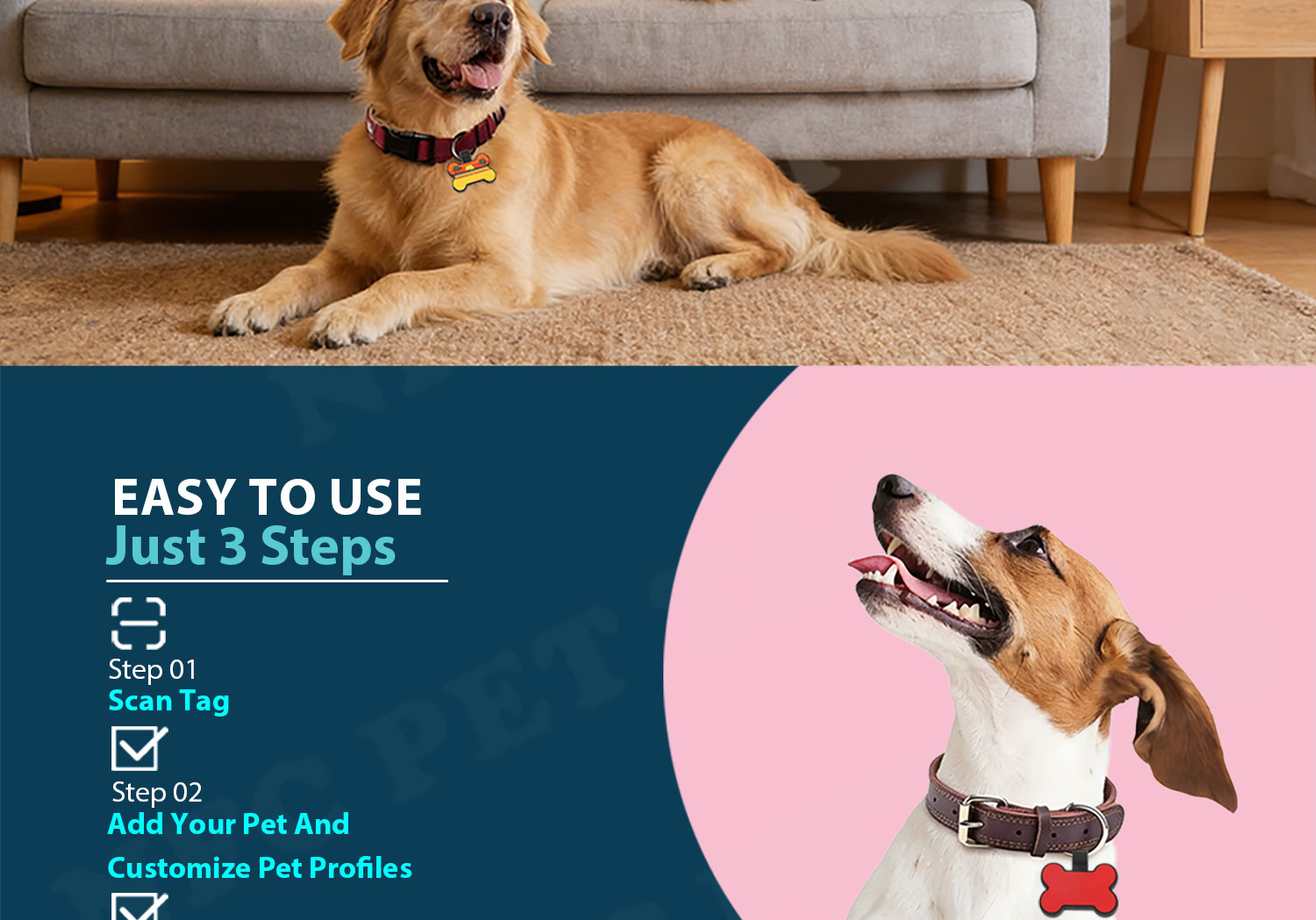 骨头-纯色款款-NFC-PET-TAG详情页_04