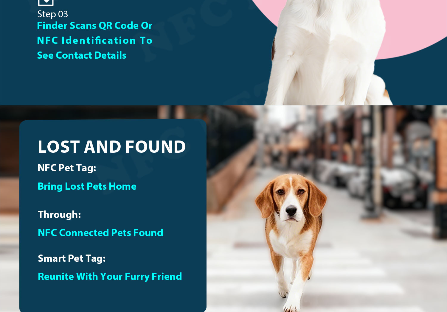 骨头-纯色款款-NFC-PET-TAG详情页_05