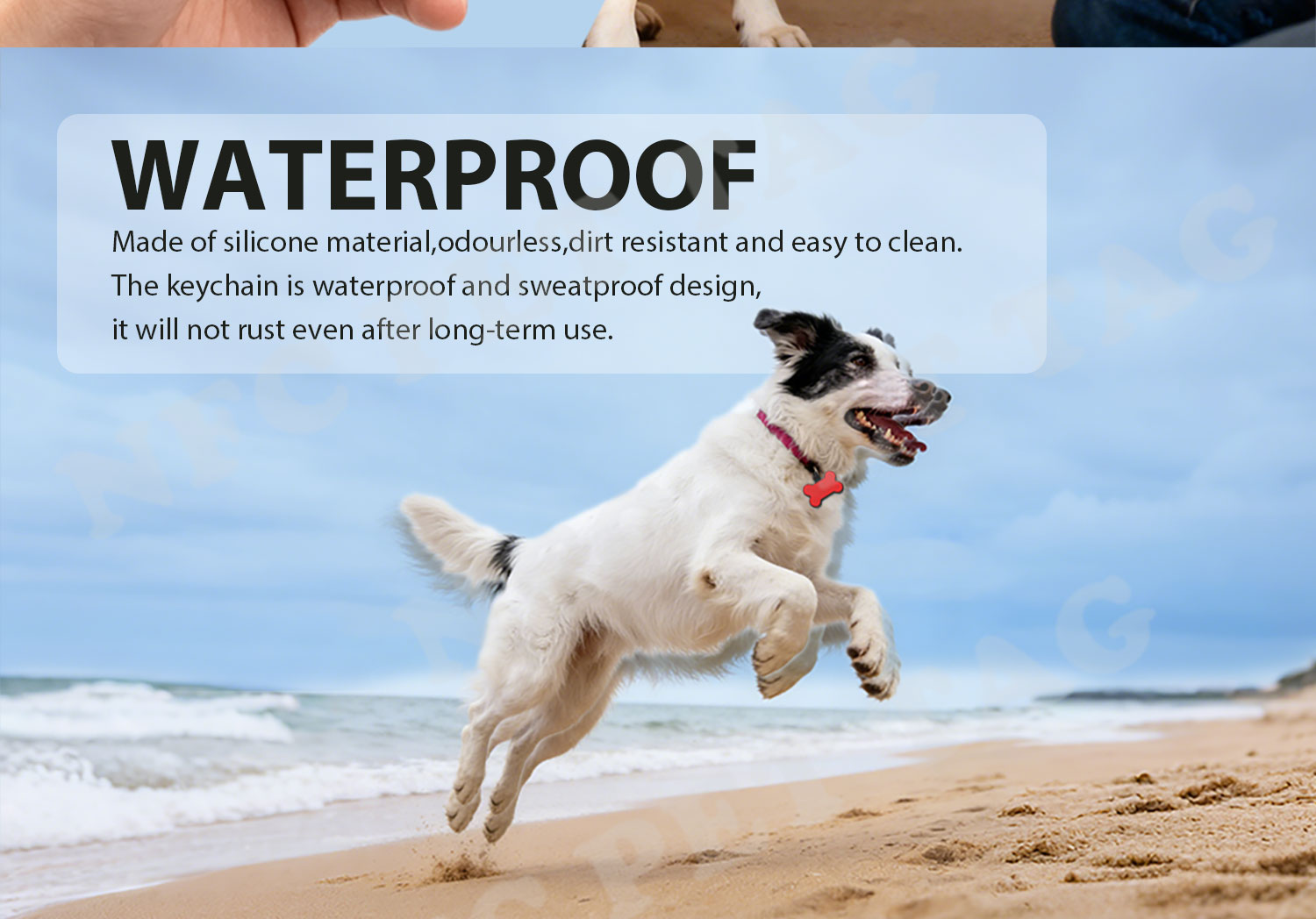 骨头-纯色款款-NFC-PET-TAG详情页_07