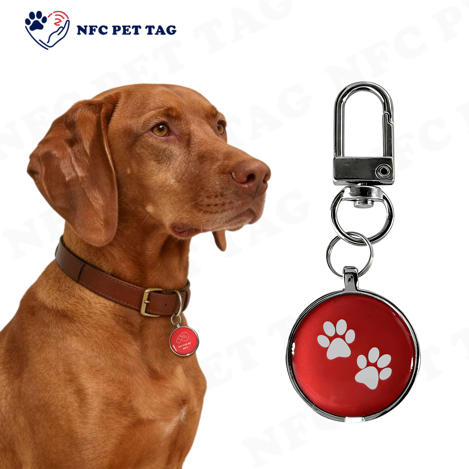 NFC PET TAG水印3